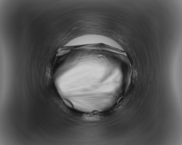 X0000086100331200704132153
