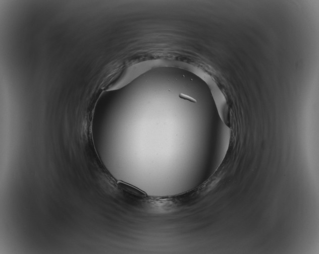 X0000086100333200704132153