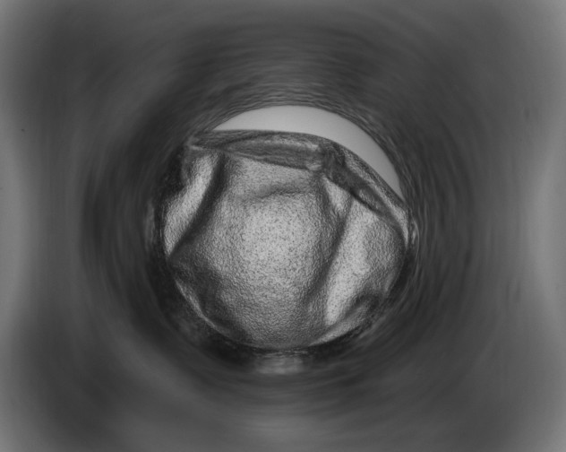 X0000086100335200704132153