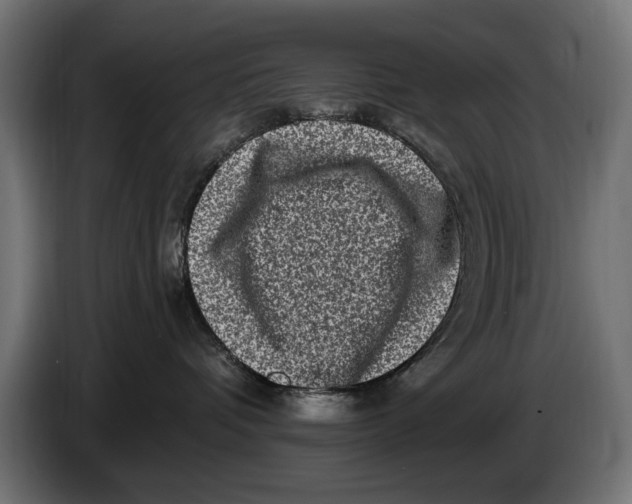 X0000086100336200704132153