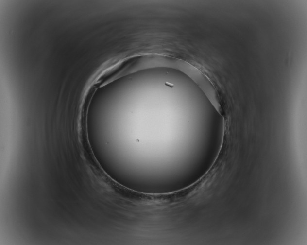 X0000086100340200704132152