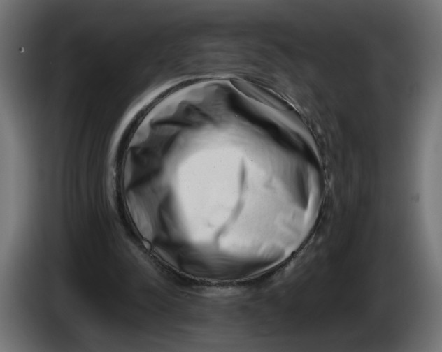 X0000086100342200704132152