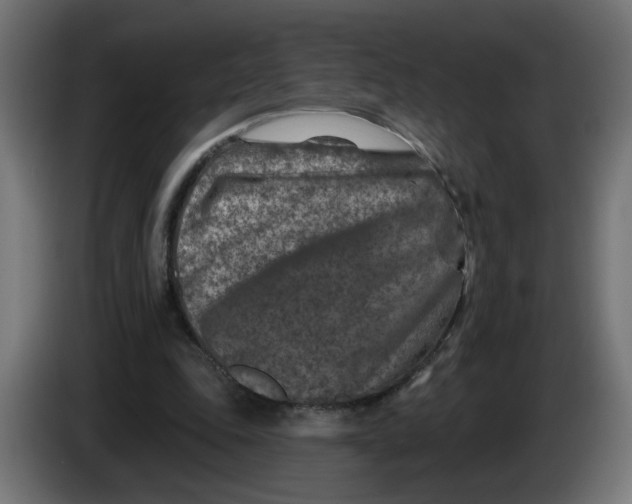 X0000086100343200704132152