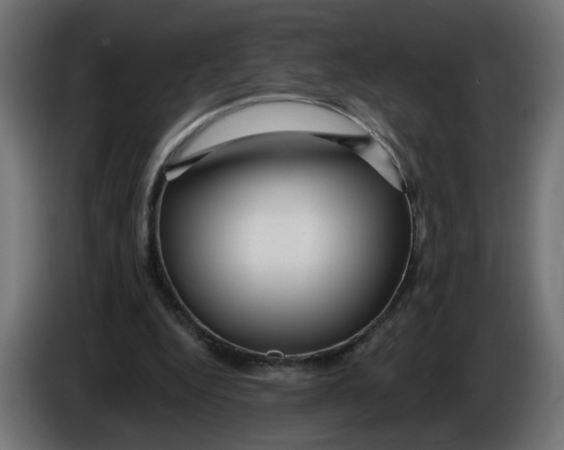 X0000086100344200704132152