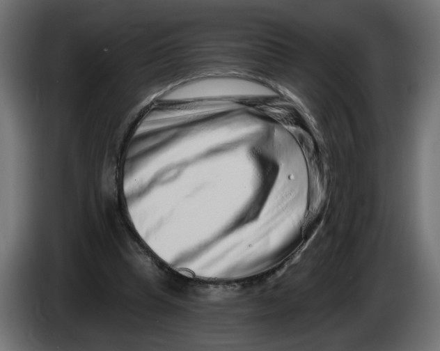 X0000086100345200704132152
