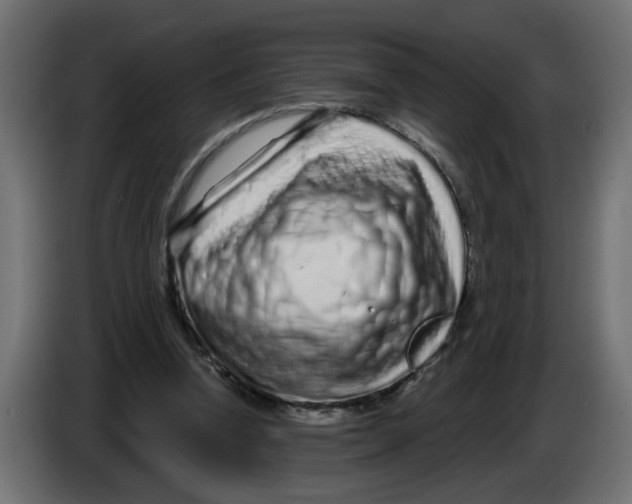 X0000086100346200704132152