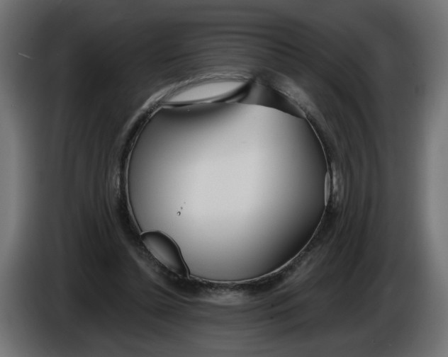 X0000086100348200704132152