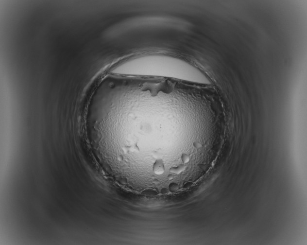 X0000086100351200704132152