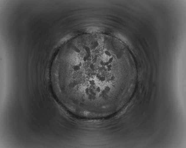 X0000086100353200704132152