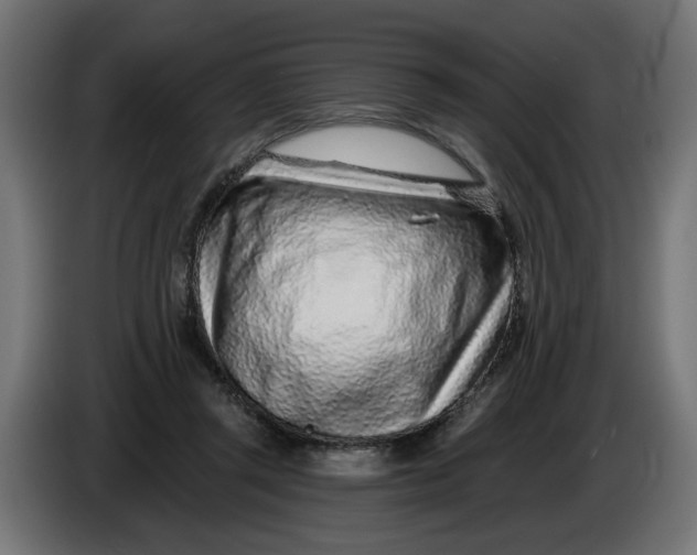 X0000086100357200704132152