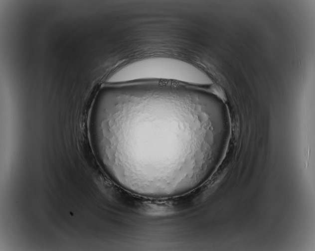 X0000086100359200704132152