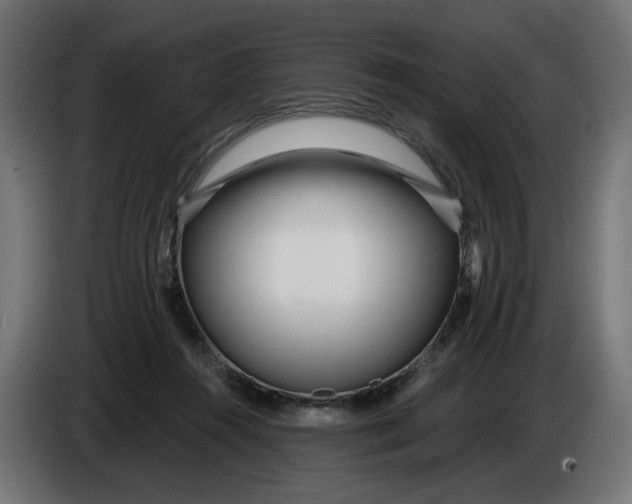 X0000086100360200704132152