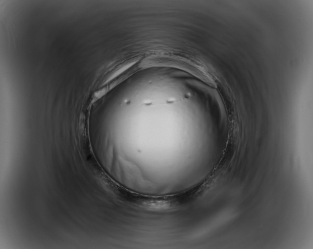 X0000086100361200704132152