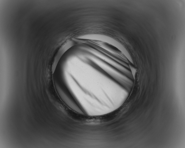 X0000086100362200704132152