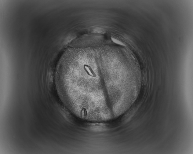 X0000086100363200704132152