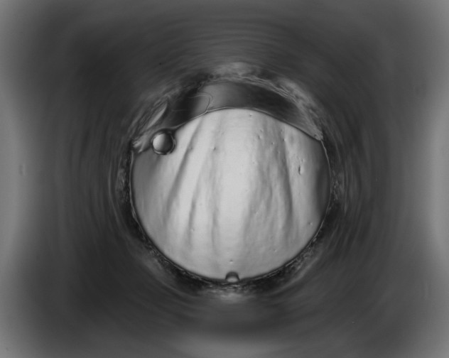 X0000086100365200704132152