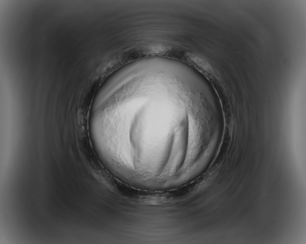 X0000086100366200704132152