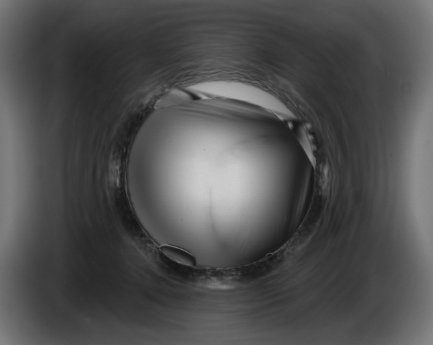 X0000086100368200704132152