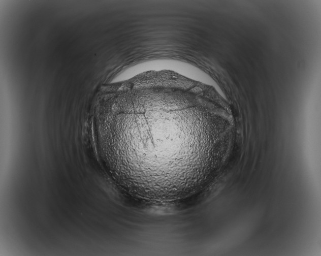 X0000086100369200704132152