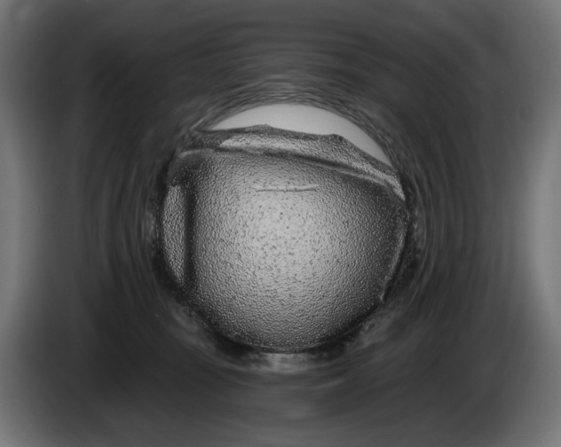X0000086100371200704132152
