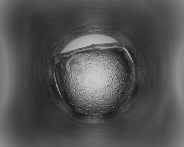 X0000086100373200704132152