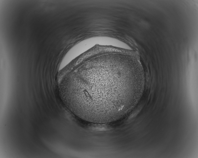 X0000086100377200704132153