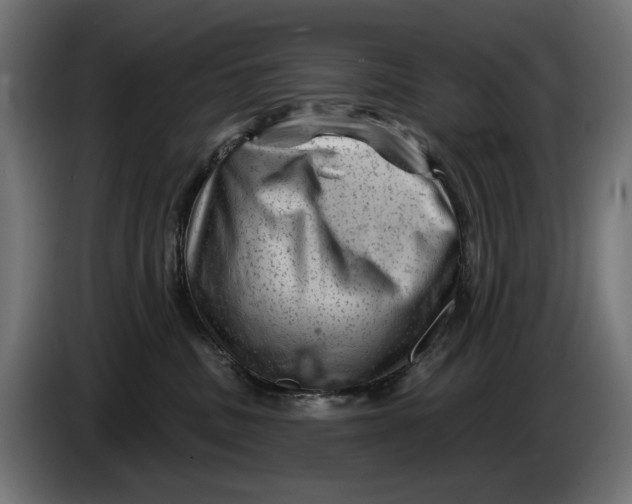 X0000086100379200704132153
