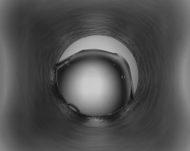 X0000086100380200704132153
