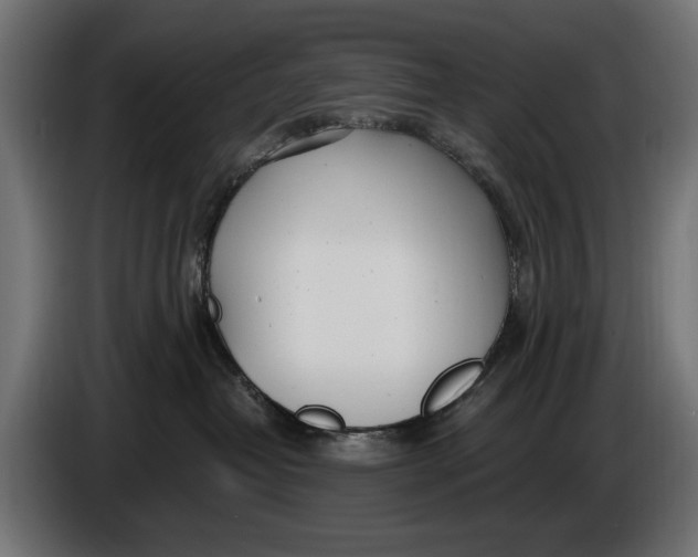 X0000086100382200704132153