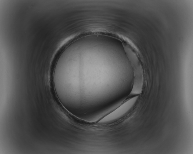 X0000086100391200704132152