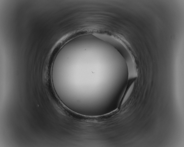 X0000086100392200704132152