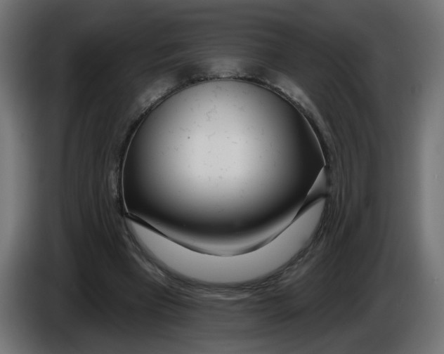 X0000086100393200704132152