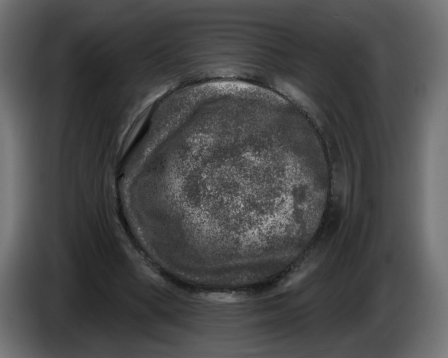 X0000086100394200704132152