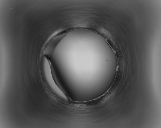 X0000086100395200704132152