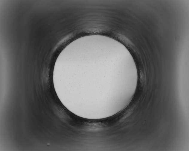 X0000086100396200704132152