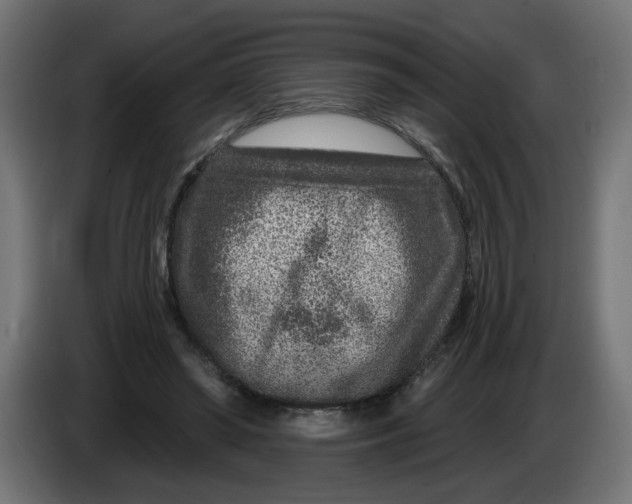 X0000086100398200704132152