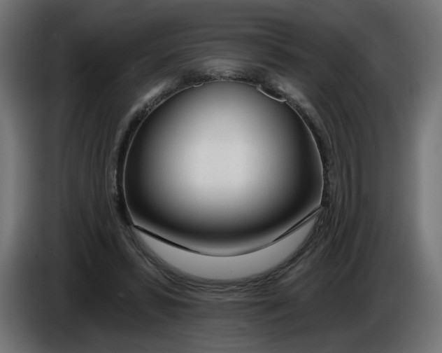 X0000086100399200704132152