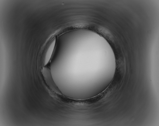 X0000086100400200704132152