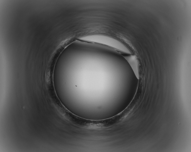 X0000086100403200704132152