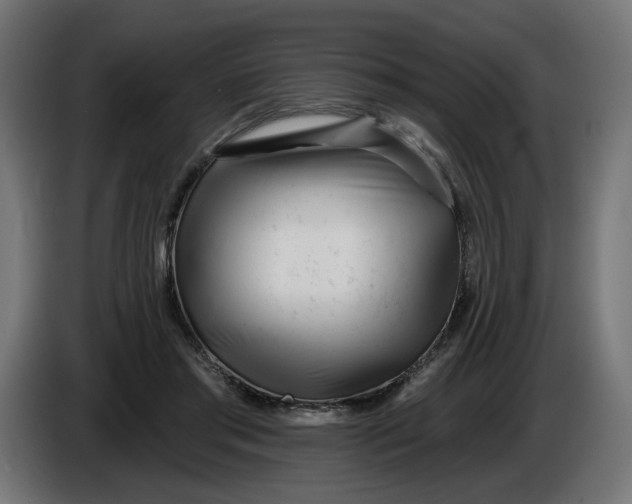 X0000086100405200704132152