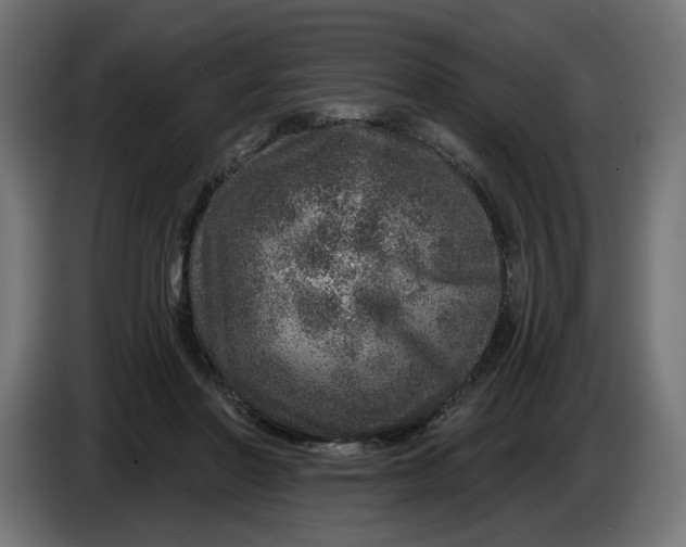 X0000086100406200704132152