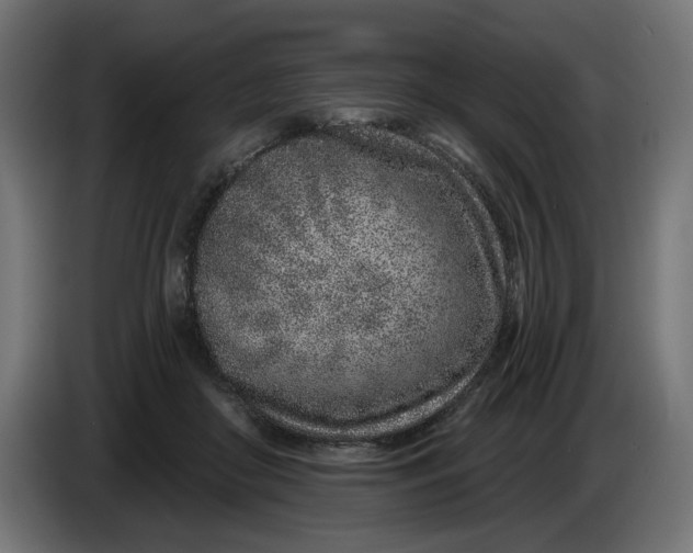 X0000086100410200704132152
