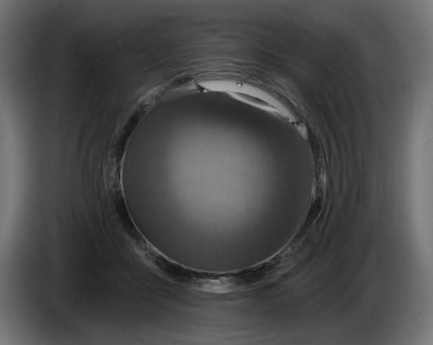 X0000086100411200704132152
