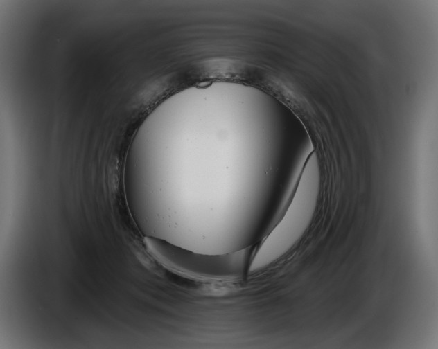 X0000086100413200704132152