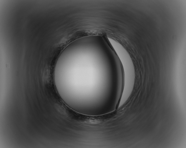 X0000086100416200704132151
