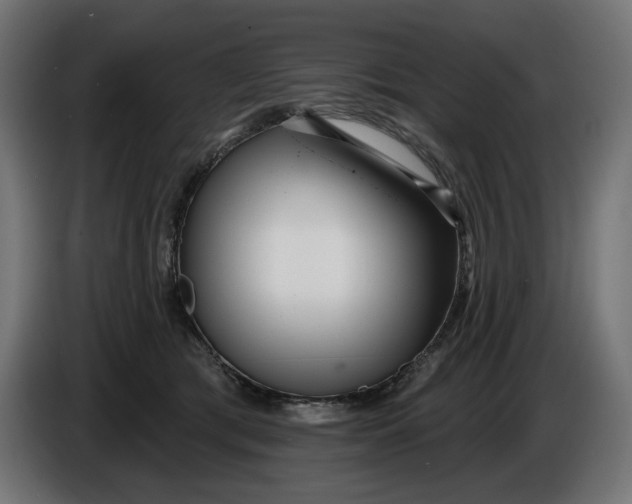X0000086100417200704132151