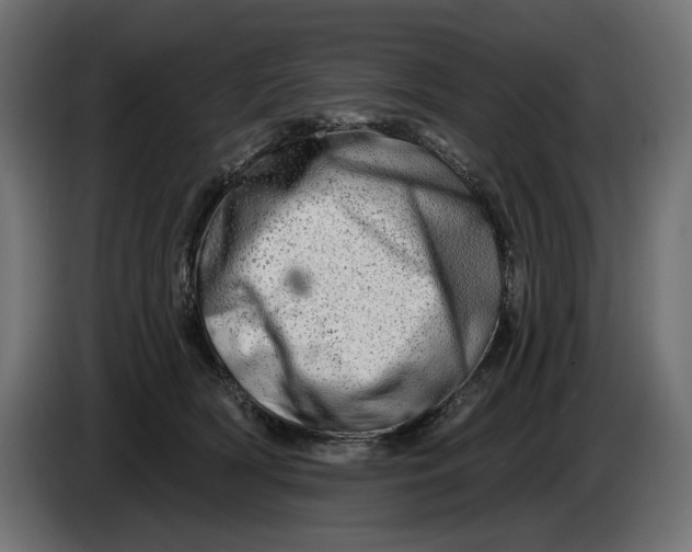 X0000086100418200704132151