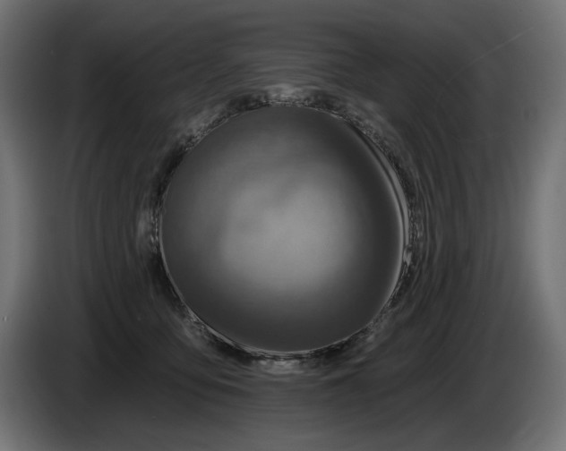 X0000086100419200704132151
