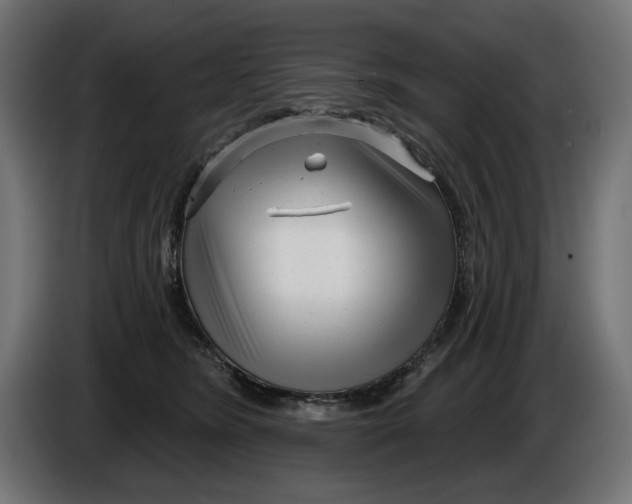 X0000086100420200704132151
