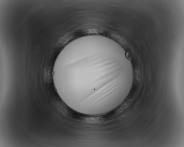 X0000086100422200704132151